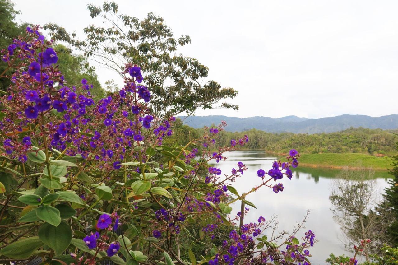 Ecolodge Bahia Del Penon Guatape Luaran gambar