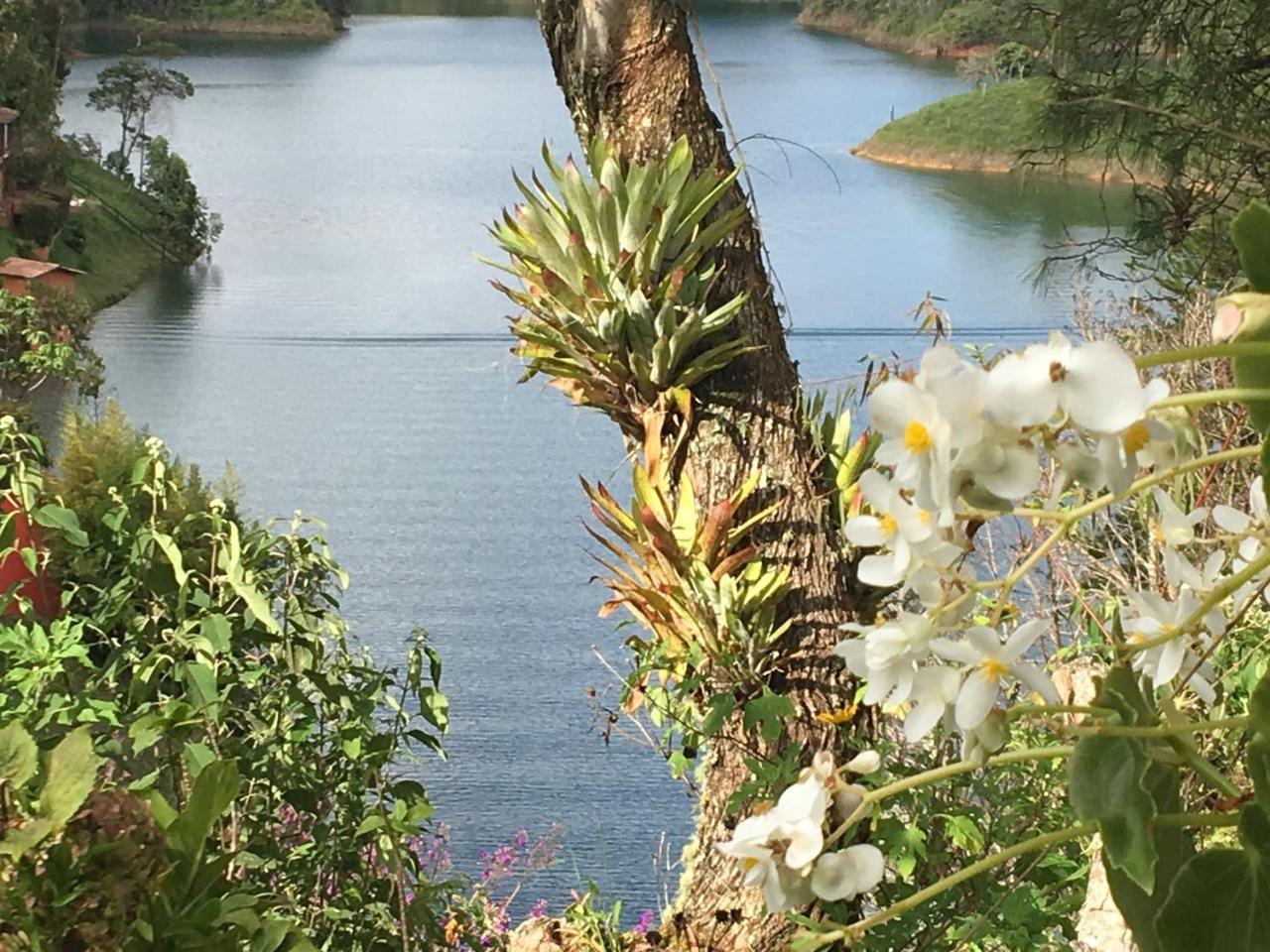 Ecolodge Bahia Del Penon Guatape Luaran gambar